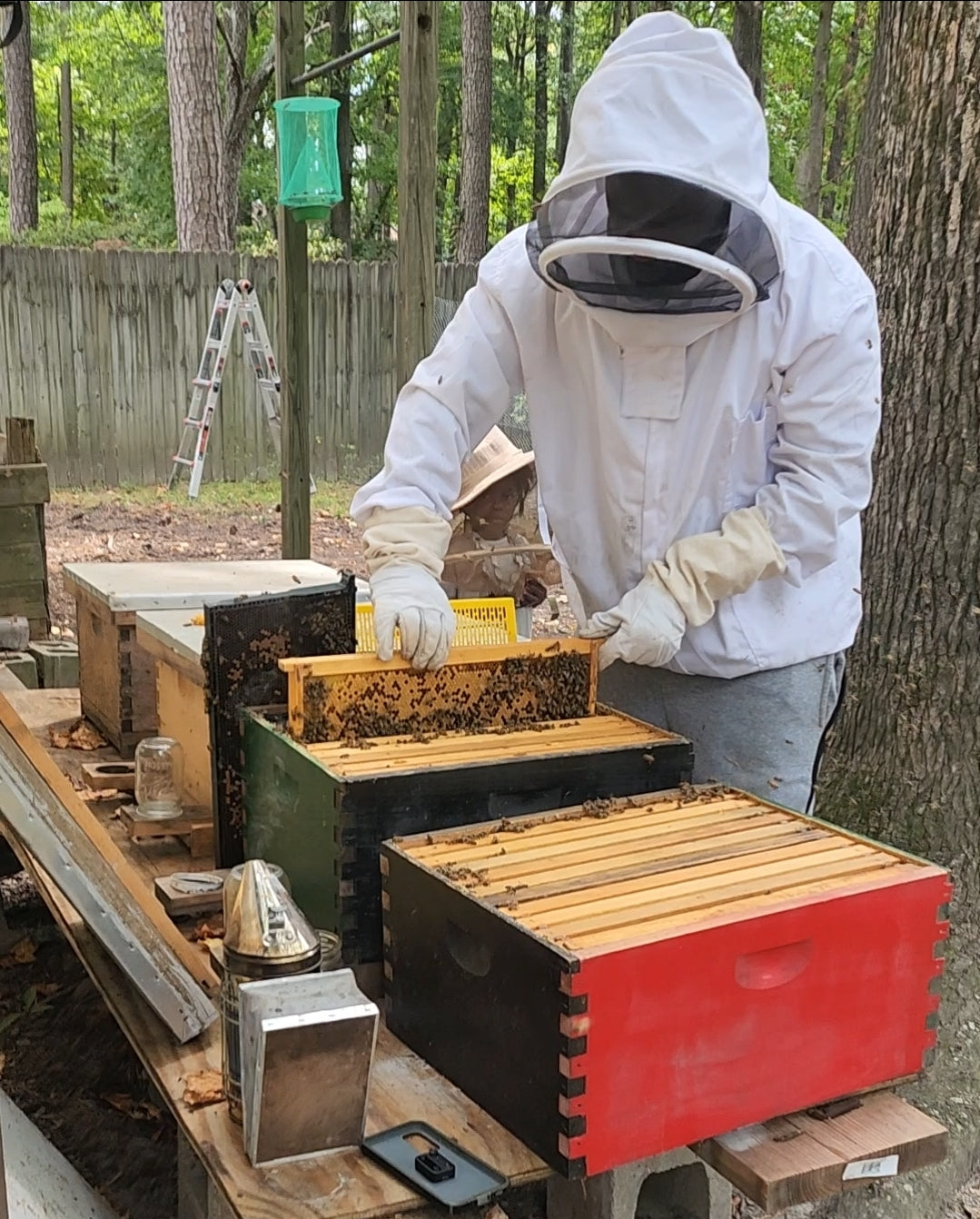 Healing From Our Hives