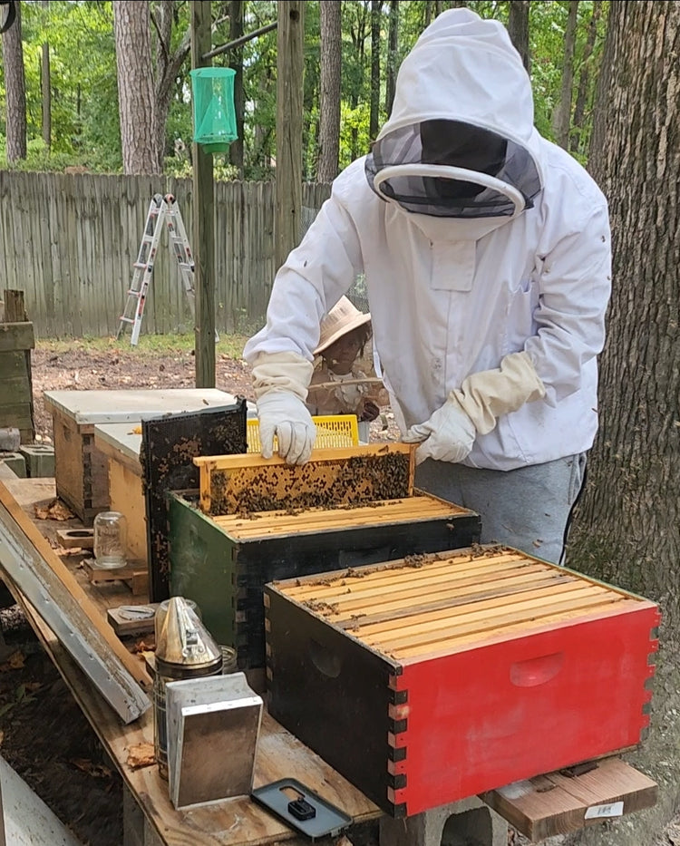 Healing From Our Hives