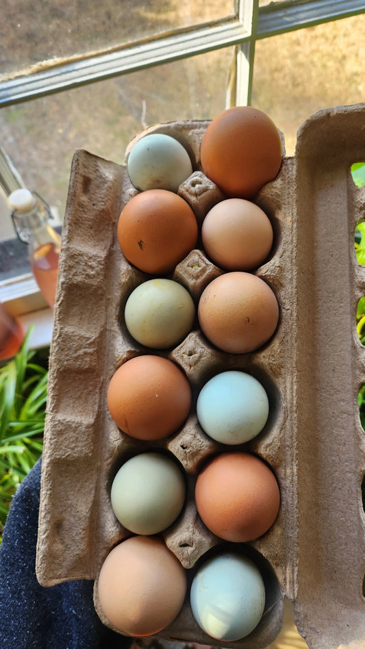 Rainbow Hatching Eggs