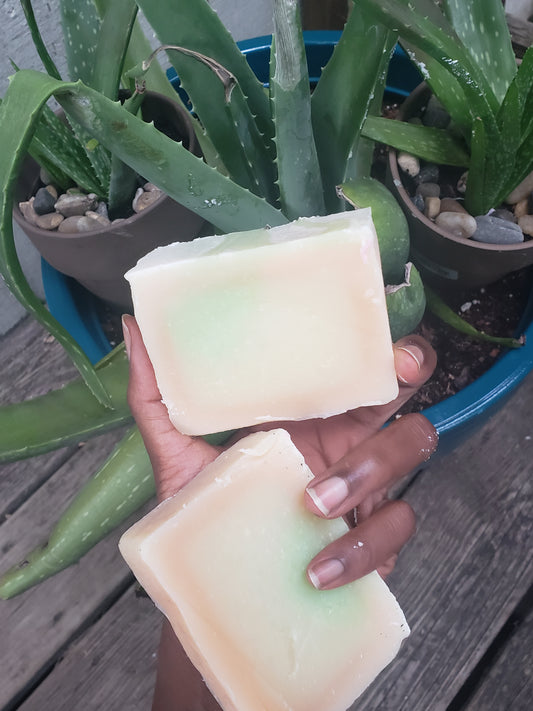 Aloe Soap Recipe Guide for Beginner Soap Makers downloadable guide