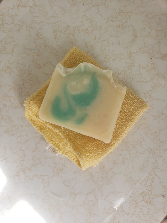 Sea Moss ,Aloe and Tea tree soap