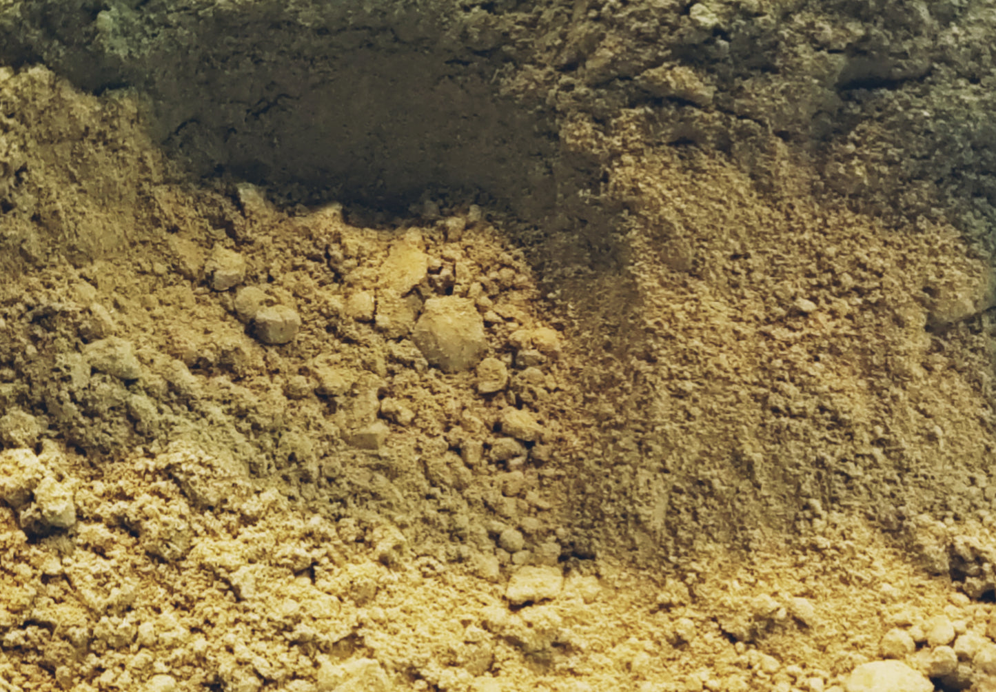 Sea Moss Soap with Moringa